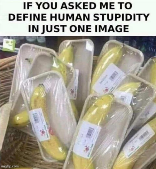 The World has gone absolutely Banana's | image tagged in bananas,human stupidity | made w/ Imgflip meme maker