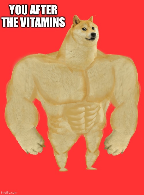 Swole Doge | YOU AFTER THE VITAMINS | image tagged in swole doge | made w/ Imgflip meme maker