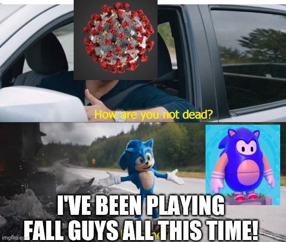 xD |  I'VE BEEN PLAYING FALL GUYS ALL THIS TIME! | image tagged in sonic how are you not dead | made w/ Imgflip meme maker