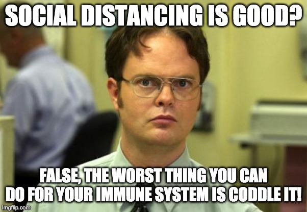 Social distancing is good? | SOCIAL DISTANCING IS GOOD? FALSE, THE WORST THING YOU CAN DO FOR YOUR IMMUNE SYSTEM IS CODDLE IT! | image tagged in memes,dwight schrute | made w/ Imgflip meme maker