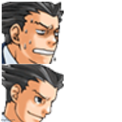 Wright dislikes X, Wright likes Y | image tagged in phoenix wright | made w/ Imgflip meme maker