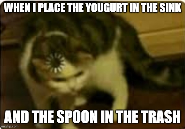 Buffering cat | WHEN I PLACE THE YOUGURT IN THE SINK; AND THE SPOON IN THE TRASH | image tagged in buffering cat,confusion | made w/ Imgflip meme maker
