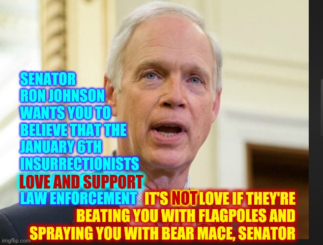 Love Doesn't Try To Beat You To Death | SENATOR RON JOHNSON WANTS YOU TO BELIEVE THAT THE JANUARY 6TH INSURRECTIONISTS LOVE AND SUPPORT LAW ENFORCEMENT; IT'S NOT LOVE IF THEY'RE BEATING YOU WITH FLAGPOLES AND SPRAYING YOU WITH BEAR MACE, SENATOR; LOVE AND SUPPORT; NOT | image tagged in senator ron johnson,memes,you give love a bad name,trump lies,republican lies,liar liar | made w/ Imgflip meme maker