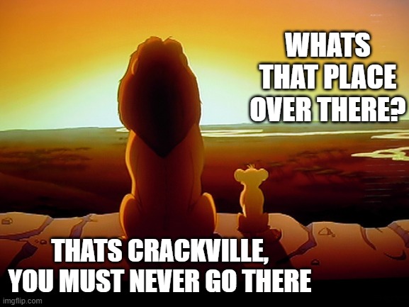 Lion King Meme | WHATS THAT PLACE OVER THERE? THATS CRACKVILLE, YOU MUST NEVER GO THERE | image tagged in memes,lion king | made w/ Imgflip meme maker