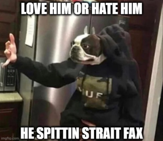 Love Him or hate him he spittin strait fax | image tagged in love him or hate him he spittin strait fax | made w/ Imgflip meme maker