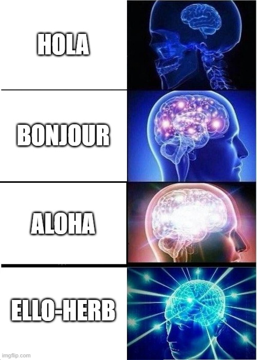 "its all the fun of pig latin, and its safe for vegetarians to use!" | HOLA; BONJOUR; ALOHA; ELLO-HERB | image tagged in memes,expanding brain,ferb latin,phineas and ferb | made w/ Imgflip meme maker