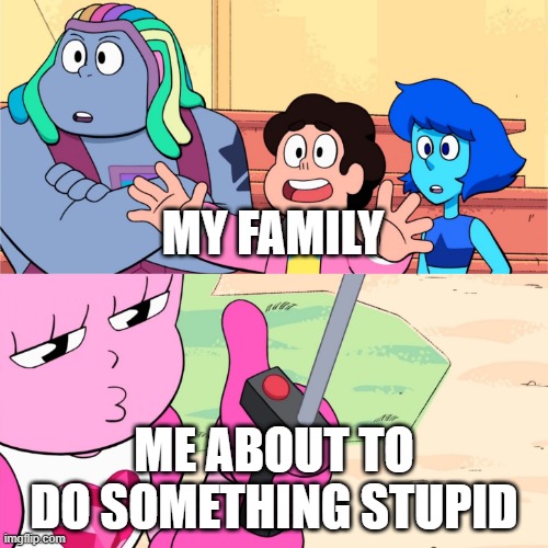 Most days | MY FAMILY; ME ABOUT TO DO SOMETHING STUPID | image tagged in spinel hits the bad button | made w/ Imgflip meme maker