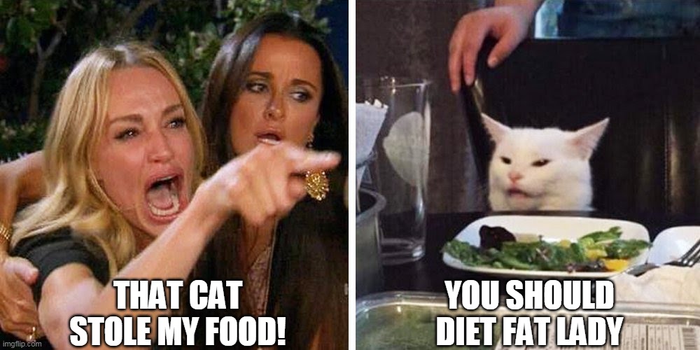 diet! | THAT CAT STOLE MY FOOD! YOU SHOULD DIET FAT LADY | image tagged in smudge the cat | made w/ Imgflip meme maker