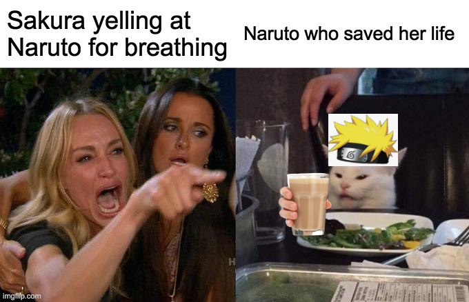Woman Yelling At Cat | Sakura yelling at Naruto for breathing; Naruto who saved her life | image tagged in memes,woman yelling at cat | made w/ Imgflip meme maker
