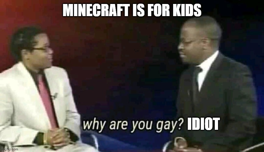 Why are you gay? | MINECRAFT IS FOR KIDS; IDIOT | image tagged in why are you gay | made w/ Imgflip meme maker