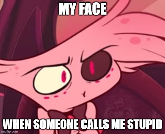 Well it is true | MY FACE; WHEN SOMEONE CALLS ME STUPID | image tagged in what | made w/ Imgflip meme maker