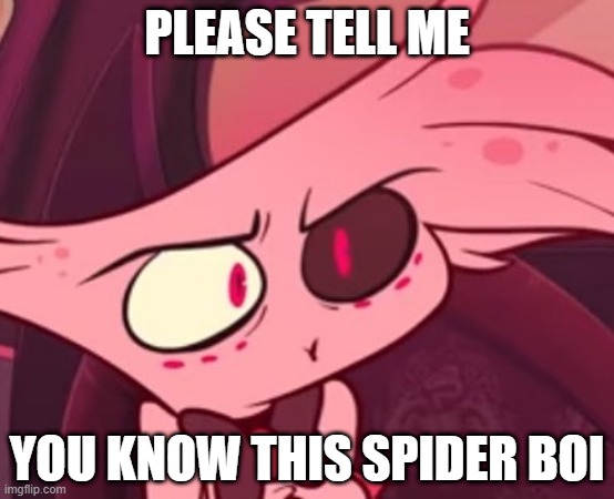 Please tell me you know hazbin | PLEASE TELL ME; YOU KNOW THIS SPIDER BOI | image tagged in what | made w/ Imgflip meme maker