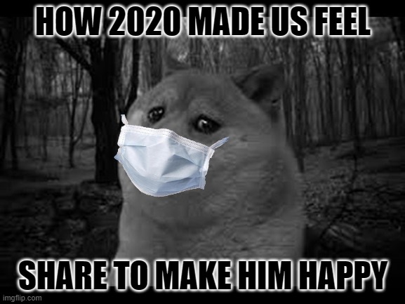 2020 be like | HOW 2020 MADE US FEEL; SHARE TO MAKE HIM HAPPY | image tagged in very sad doge | made w/ Imgflip meme maker