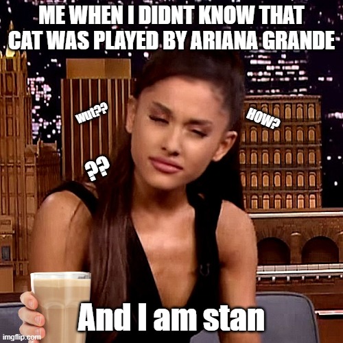Ariana Grande Imgflip