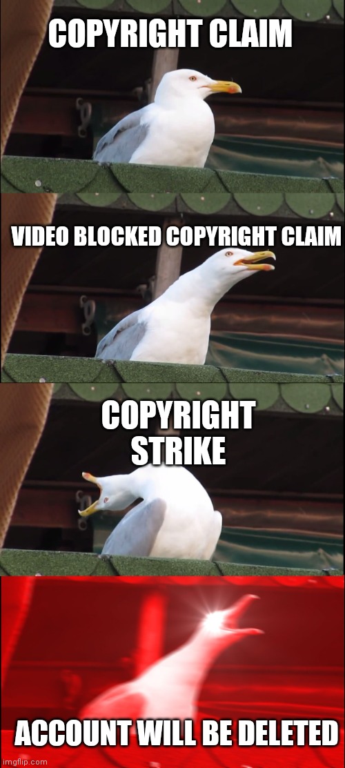 Inhaling Seagull | COPYRIGHT CLAIM; VIDEO BLOCKED COPYRIGHT CLAIM; COPYRIGHT STRIKE; ACCOUNT WILL BE DELETED | image tagged in memes,inhaling seagull | made w/ Imgflip meme maker