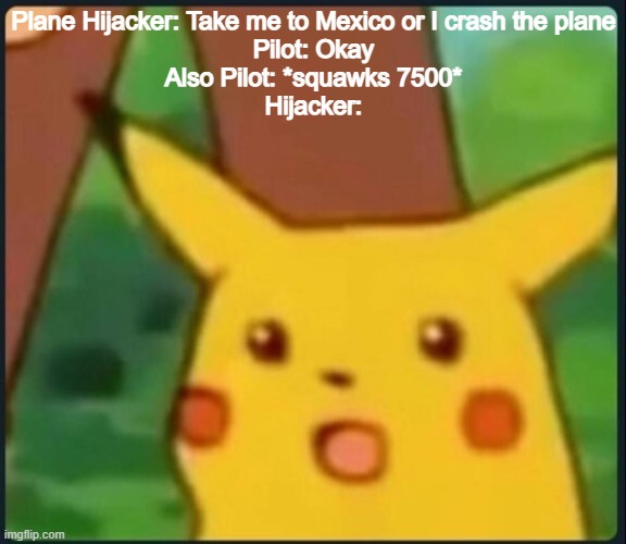 When the pilot squawks 7500 | Plane Hijacker: Take me to Mexico or I crash the plane
Pilot: Okay
Also Pilot: *squawks 7500*
Hijacker: | image tagged in surprised pikachu | made w/ Imgflip meme maker