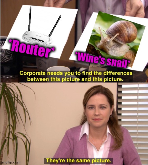 -Eyes or detectors. | *Router*; *Wine's snail* | image tagged in memes,they're the same picture,hey internet,snail,salad,website | made w/ Imgflip meme maker