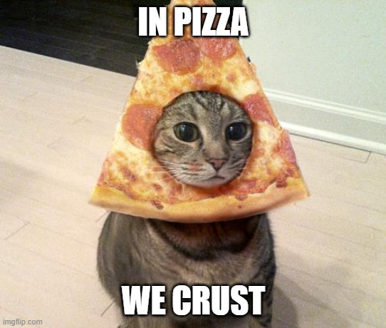 pizza cat | IN PIZZA WE CRUST | image tagged in pizza cat | made w/ Imgflip meme maker