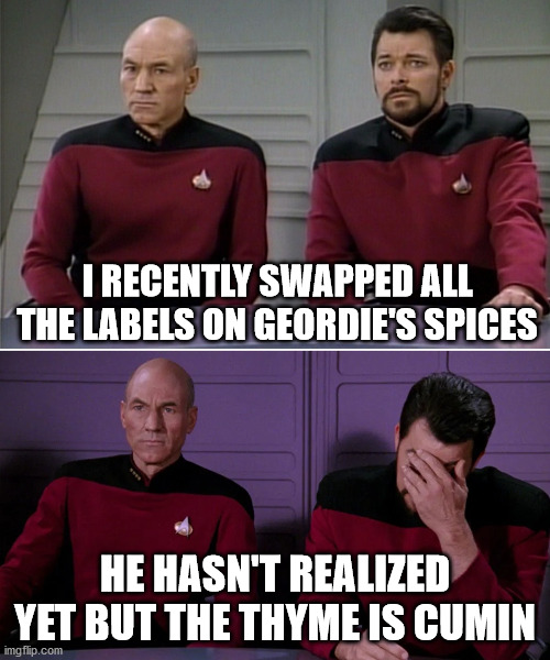 Picard Riker listening to a pun | I RECENTLY SWAPPED ALL THE LABELS ON GEORDIE'S SPICES; HE HASN'T REALIZED YET BUT THE THYME IS CUMIN | image tagged in picard riker listening to a pun | made w/ Imgflip meme maker