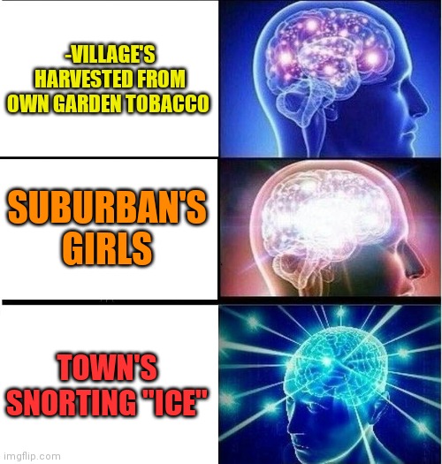 -Gradation of choice prefer which. | -VILLAGE'S HARVESTED FROM OWN GARDEN TOBACCO; SUBURBAN'S GIRLS; TOWN'S SNORTING "ICE" | image tagged in expanding brain 3 panels,village people,tobacco,cigarettes,mean girls,ice | made w/ Imgflip meme maker