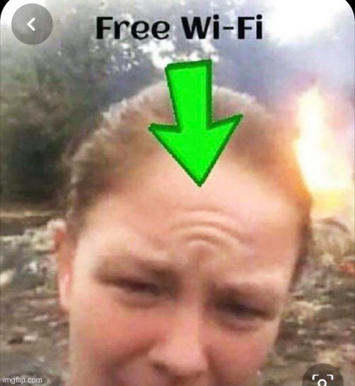 hey anyone need wifi? | image tagged in wifi,free,meme,lmao,lmfao | made w/ Imgflip meme maker