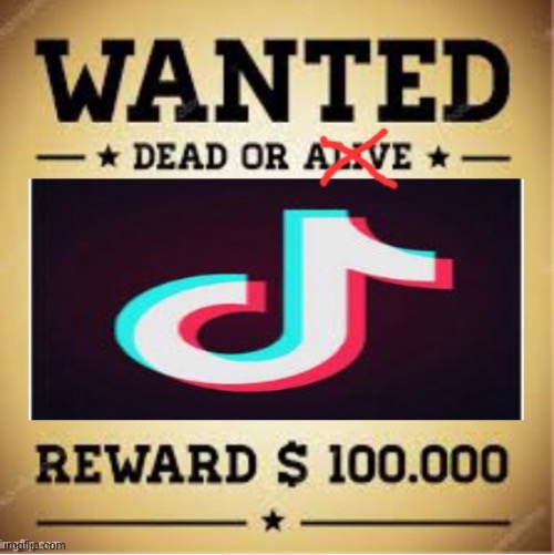 Wanted: Tik Tok | made w/ Imgflip meme maker