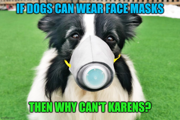 Dogs can do it | IF DOGS CAN WEAR FACE MASKS; THEN WHY CAN'T KARENS? | image tagged in memes,fun,dogs | made w/ Imgflip meme maker