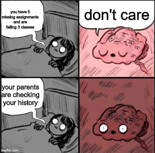 Hey Brain Are You Going to Sleep? | don't care; you have 5 missing assignments and are failing 3 classes; your parents are checking your history | image tagged in hey brain are you going to sleep | made w/ Imgflip meme maker