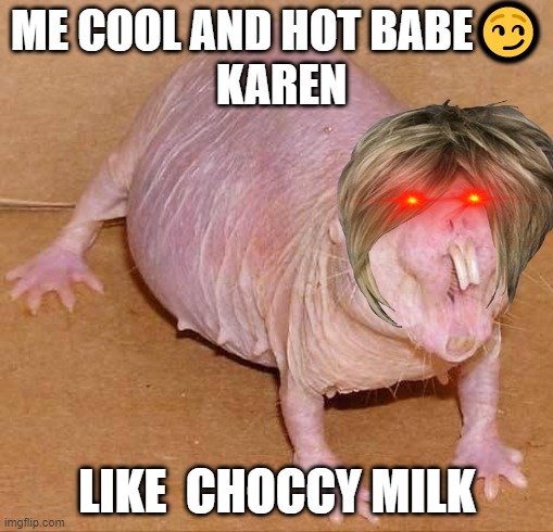 naked mole rat | ME COOL AND HOT BABE😏
 KAREN; LIKE  CHOCCY MILK | image tagged in naked mole rat | made w/ Imgflip meme maker