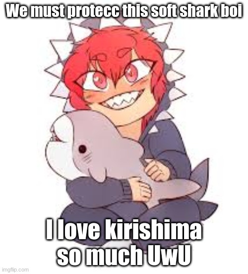 Sharky-boi UwU |  We must protecc this soft shark boi; I love kirishima so much UwU | image tagged in soft,shark,boi | made w/ Imgflip meme maker