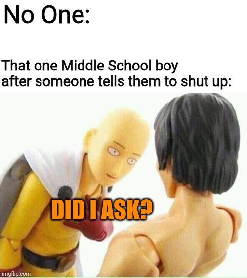 Thats how nearly every boy at my middle school is | No One:; That one Middle School boy after someone tells them to shut up:; DID I ASK? | image tagged in did i ask you,school,middle school,imgflip | made w/ Imgflip meme maker