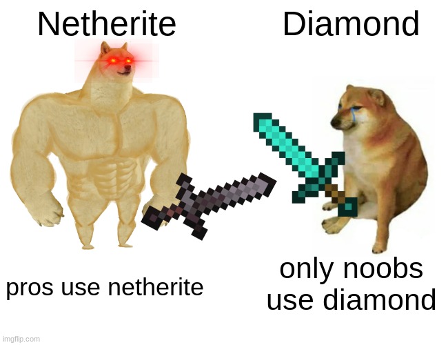 Pros vs. Noobs | Netherite; Diamond; only noobs use diamond; pros use netherite | image tagged in memes,buff doge vs cheems | made w/ Imgflip meme maker