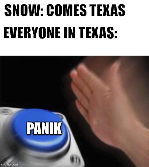 Blank Nut Button Meme | SNOW: COMES TEXAS; EVERYONE IN TEXAS:; PANIK | image tagged in memes,blank nut button | made w/ Imgflip meme maker