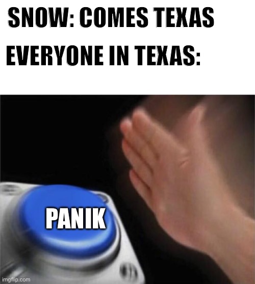 Blank Nut Button | SNOW: COMES TEXAS; EVERYONE IN TEXAS:; PANIK | image tagged in memes,blank nut button | made w/ Imgflip meme maker