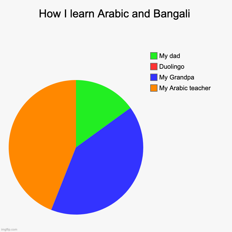Duolingo you don't know my address | How I learn Arabic and Bangali | My Arabic teacher, My Grandpa, Duolingo, My dad | image tagged in charts,pie charts | made w/ Imgflip chart maker