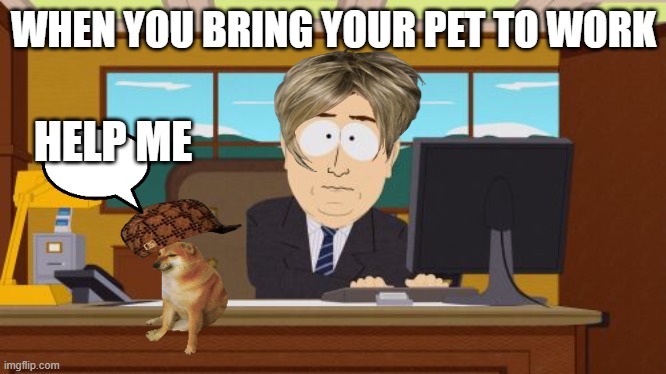 Aaaaand Its Gone | WHEN YOU BRING YOUR PET TO WORK; HELP ME | image tagged in memes,aaaaand its gone | made w/ Imgflip meme maker