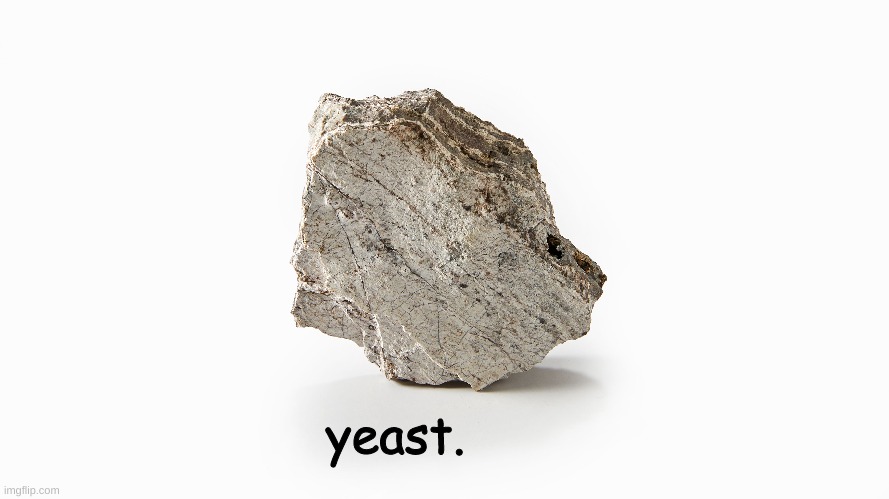 yeast. | yeast. | image tagged in rock | made w/ Imgflip meme maker