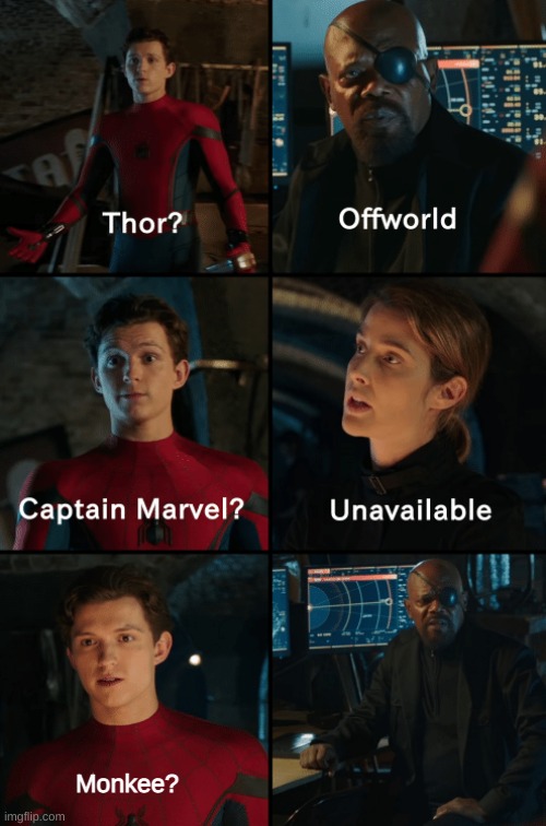 *homecoming theme intensifies* | Monkee? | image tagged in thor off-world captain marvel unavailable | made w/ Imgflip meme maker