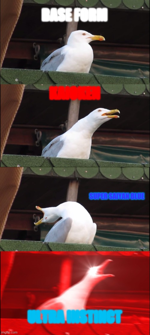 Inhaling Seagull Meme | BASE FORM; KAIOKEN; SUPER SAIYAN BLUE; ULTRA INSTINCT | image tagged in memes,inhaling seagull | made w/ Imgflip meme maker