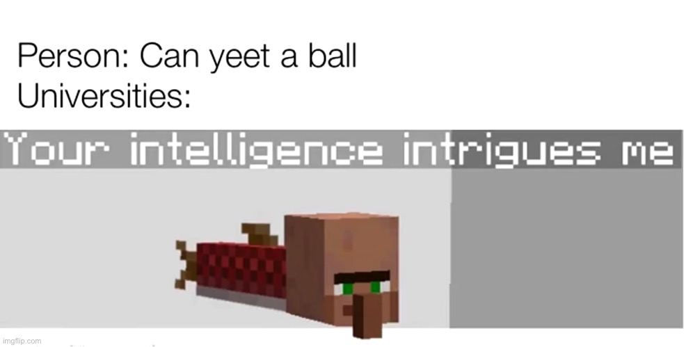 I find this so funny and I don’t know why | image tagged in minecraft,memes,funny | made w/ Imgflip meme maker