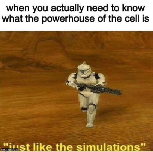 idk what to put here |  when you actually need to know what the powerhouse of the cell is | image tagged in just like the simulations | made w/ Imgflip meme maker