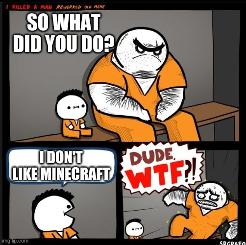 DUDE WTF | SO WHAT DID YOU DO? I DON'T LIKE MINECRAFT | image tagged in srgrafo dude wtf,memes | made w/ Imgflip meme maker