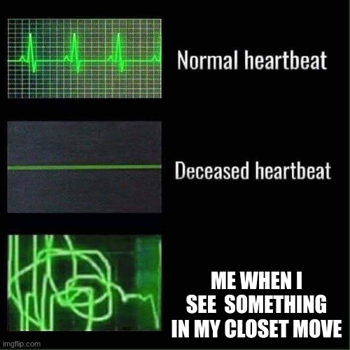 I see | ME WHEN I SEE  SOMETHING IN MY CLOSET MOVE | image tagged in heart beat meme template | made w/ Imgflip meme maker