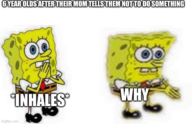 E | 6 YEAR OLDS AFTER THEIR MOM TELLS THEM NOT TO DO SOMETHING; WHY; *INHALES* | image tagged in spongebob inhale boi | made w/ Imgflip meme maker