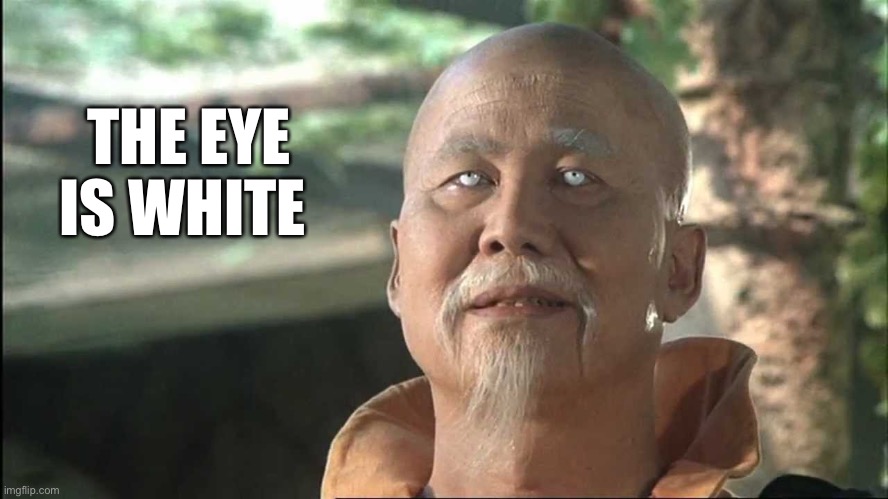 Kung Fu Po | THE EYE IS WHITE | image tagged in kung fu po | made w/ Imgflip meme maker