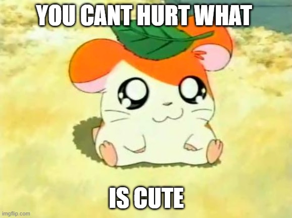 ... | YOU CANT HURT WHAT; IS CUTE | image tagged in memes,hamtaro | made w/ Imgflip meme maker