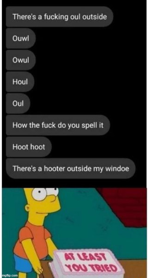 At least u tried | image tagged in bart simpson,owl | made w/ Imgflip meme maker