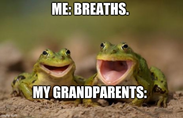 two happy frogs  | ME: BREATHS. MY GRANDPARENTS: | image tagged in two happy frogs | made w/ Imgflip meme maker