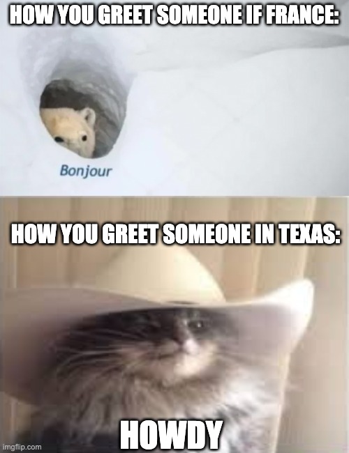 Greeting lessons from cold bear and texan cat | HOW YOU GREET SOMEONE IF FRANCE:; HOW YOU GREET SOMEONE IN TEXAS:; HOWDY | image tagged in bonjur | made w/ Imgflip meme maker