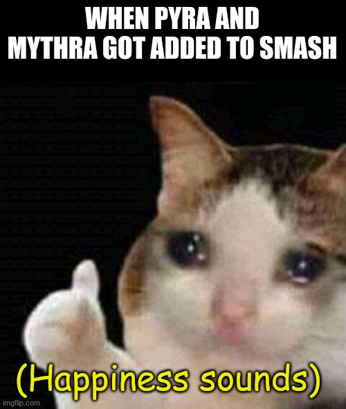A perfect Swordfighter | WHEN PYRA AND MYTHRA GOT ADDED TO SMASH; (Happiness sounds) | image tagged in super smash bros,dlc,sad cat thumbs up,meme,gaming | made w/ Imgflip meme maker